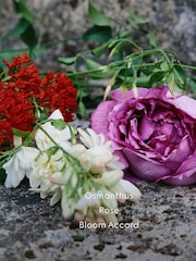 GUCCI Intense Bloom Nettare Di Fiori Eau De Parfum - Image 3 of 4