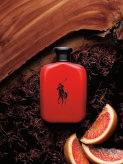 Ralph Lauren Polo Eau de Toilette - Image 6 of 7