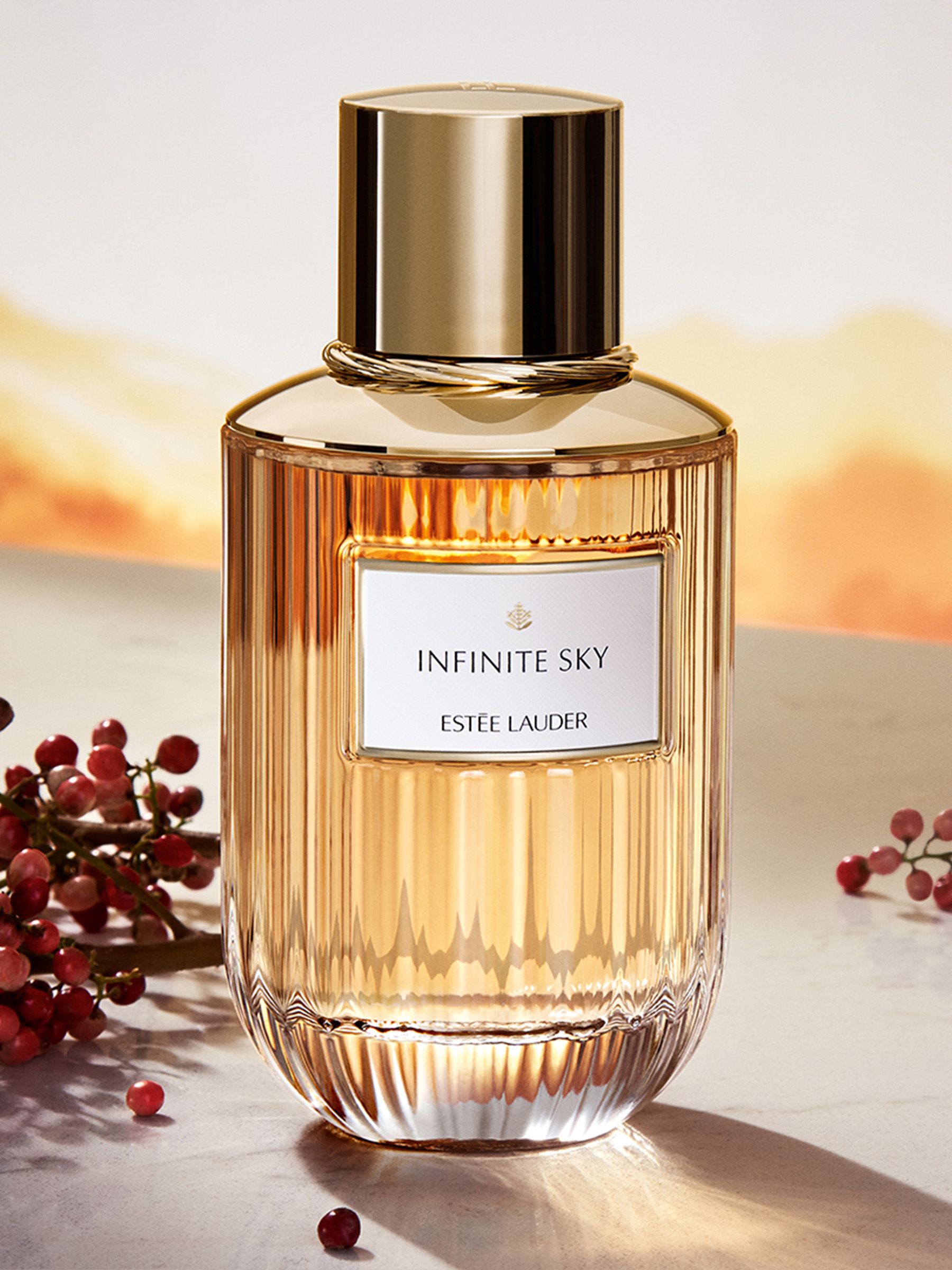 未使用に近い】エスティローダー INFINITE SKY 香水 40ml センシュアス