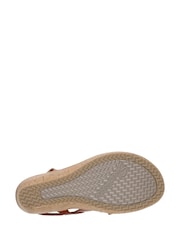 Skechers Brown Beverlee Cherished Aura Sandals - Image 5 of 5