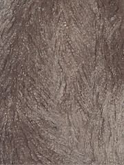 Threadbare Nude Mongolian Faux Fur Coat - Image 5 of 5