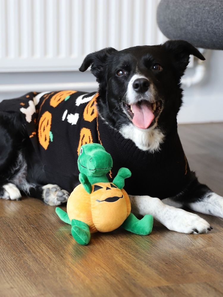 Rosewood Halloween Dog Coat/Jumper & Toy Bundle - Image 2 of 4