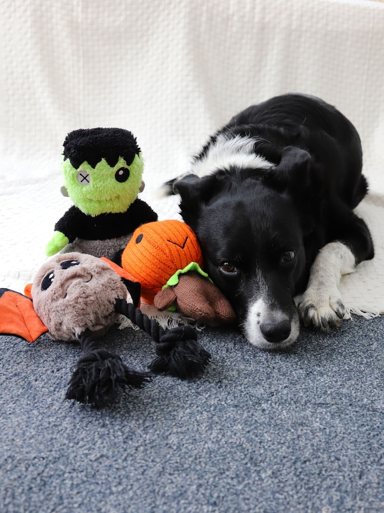 Rosewood Autumn Halloween Dog Toy Bundle Set of 3 - Image 1 of 3 Rosewood Autumn Halloween Dog Toy Bundle Set of 3 - Image 1 of 3