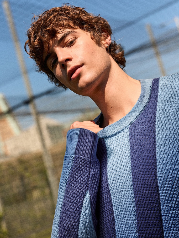 Blue Regular Fit EDIT Stripe Crew Jumper - Image 4 of 4