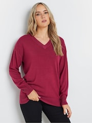 Long Tall Sally Pink V-Neck Jumper - Image 1 of 4