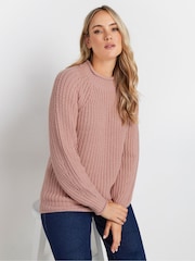 Long Tall Sally Pink Basic Acrylic Jumper - Image 1 of 4
