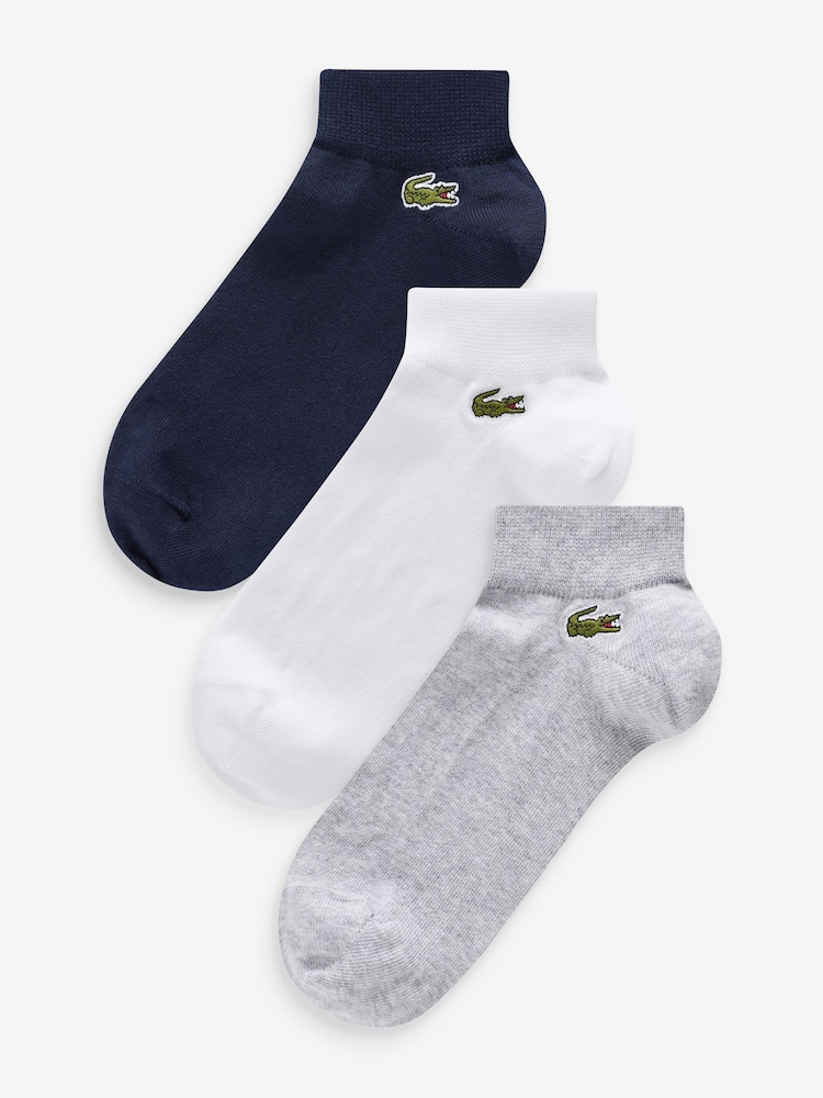 Lacoste Navy 100% Cotton Socks 3Pack - Image 1 of 4