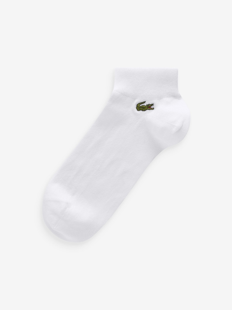 Lacoste Navy 100% Cotton Socks 3Pack - Image 4 of 4