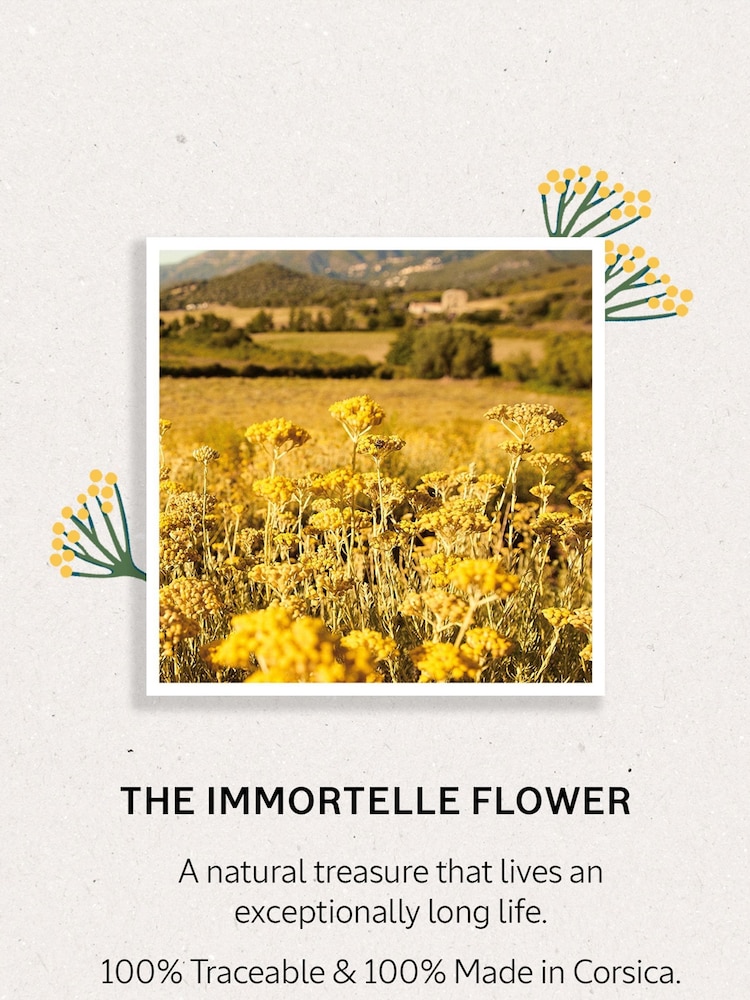 L'OCCITANE Immortelle Shea Youth Hand Cream 75ml - Image 3 of 3