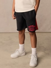 Superdry Collegiate Shorts - Imagen 1 de 8
