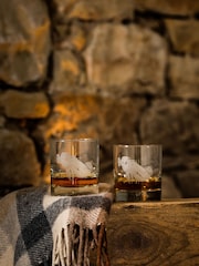 Selbrae House Set of 2 Clear Vintage Car Tumbler Glasses - Image 1 of 2