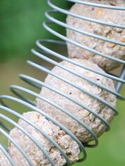 Dibor Green Wreath Garden Bird Feeder - Image 3 of 5