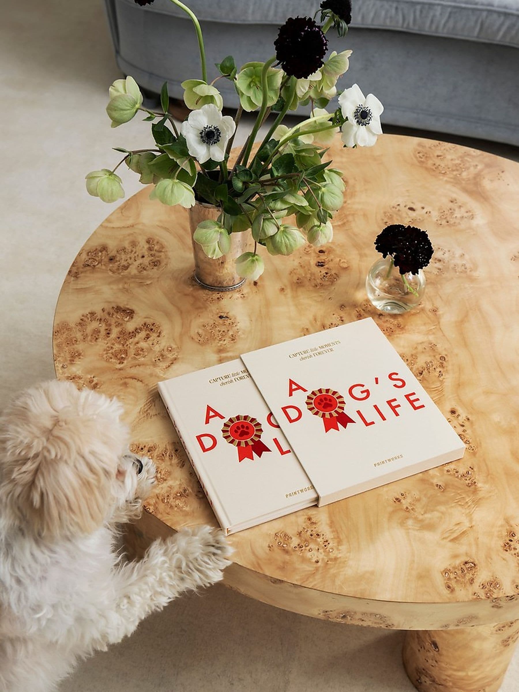 Printworks Unisex Beige A Dog's Life Journal - Image 1