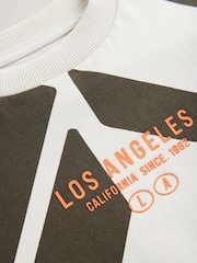 Ecru/Charcoal Relaxed Fit Short Sleeve All-Over Print 100% Cotton T-Shirt (3-16yrs) - Image 7 of 8