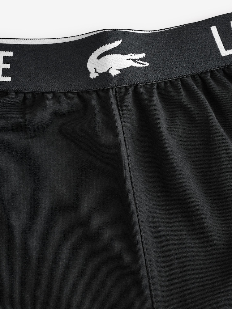 Lacoste Cotton Blend Black Pyjamas Pants - Image 7 of 7