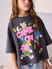Grey Sonic & Amy 100% Cotton License T-Shirt (3-16yrs) - Image 4 of 5