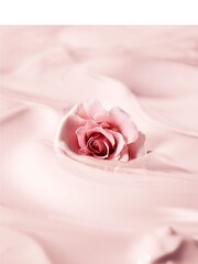 Laura Mercier Nourishing Rose Oil 30ml - Image 3 of 6