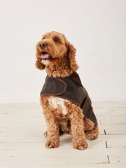 FatFace Brown 50cm Sussex Dog Coat - Image 1 of 6