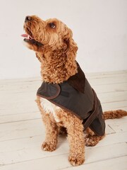 FatFace Brown 50cm Sussex Dog Coat - Image 2 of 6