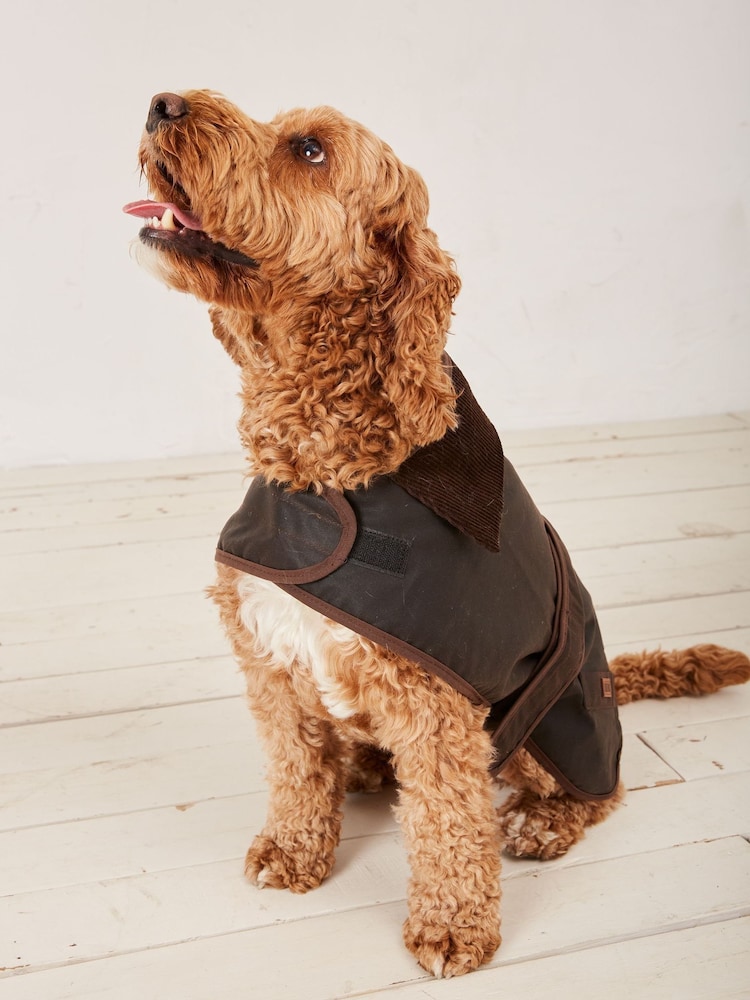 FatFace Brown 50cm Sussex Dog Coat - Image 2 of 6