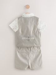 Neutral Bear Pinstripe Waistcoat/Shirt/Shorts & Bow Tie Set (3mths-9yrs) - Image 6 of 8