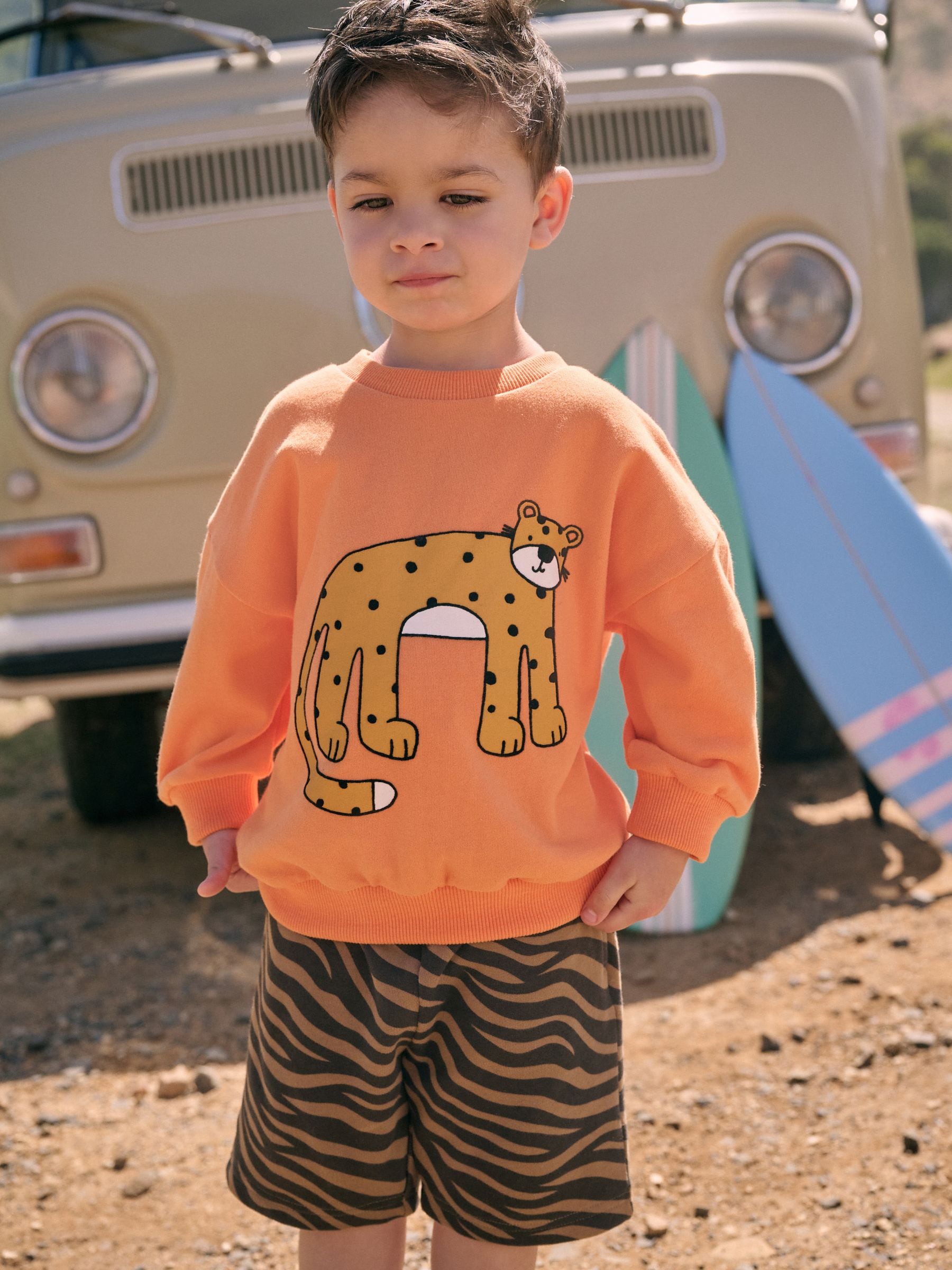 Orange Animal Print Sweatshirt and Shorts Set (3mths-8yrs)