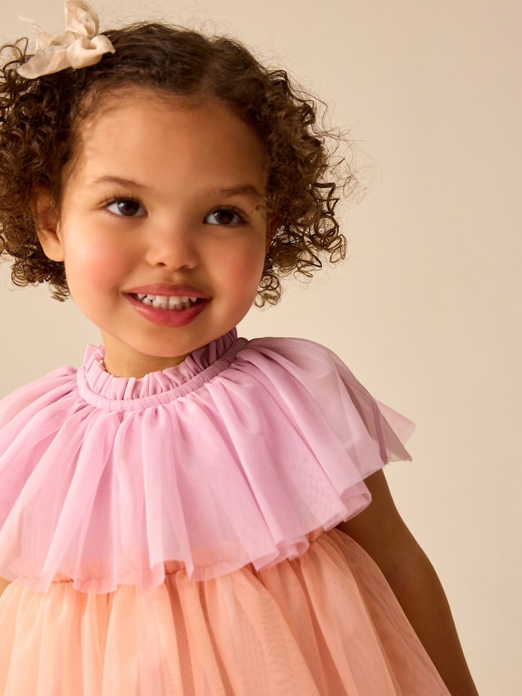 Peach Pink Mesh Party Dress (3mths-7yrs) - Image 4 of 8