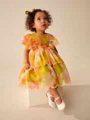 Print Mesh Scallop Party Dress (3mths-7yrs) - Image 2 of 8