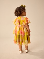 Print Mesh Scallop Party Dress (3mths-7yrs) - Image 3 of 8