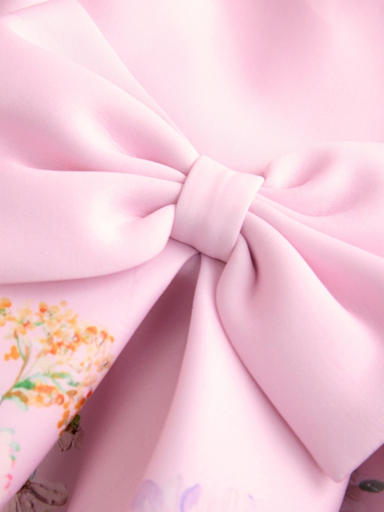Pink Sleeveless Floral Party Dress (3mths-7yrs) - Image 7 of 9
