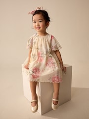 Pink Floral Short Sleeve Mesh Party Dress (3mths-7yrs) - Image 1 of 10
