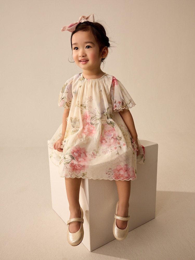 Pink Floral Short Sleeve Mesh Party Dress (3mths-7yrs) - Image 1 of 10