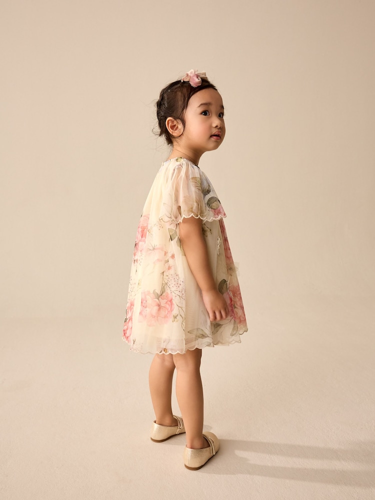 Pink Floral Short Sleeve Mesh Party Dress (3mths-7yrs) - Image 2 of 10