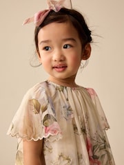 Pink Floral Short Sleeve Mesh Party Dress (3mths-7yrs) - Image 3 of 10