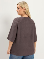 Yours Curve Brown Short Sleeve Knitted Top - Image 4 of 7