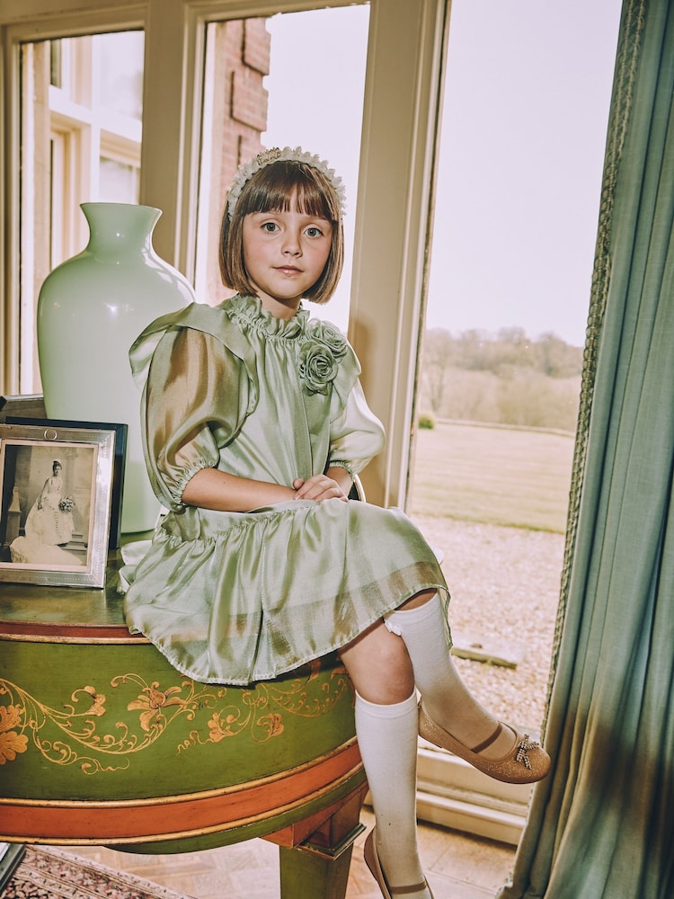 Angels Face Green Lark Rose Trim Dress - Image 1 of 5