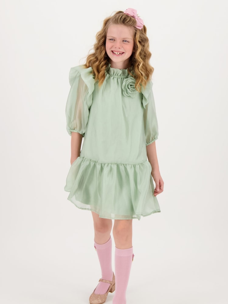 Angels Face Green Lark Rose Trim Dress - Image 2 of 5