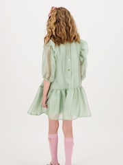 Angels Face Green Lark Rose Trim Dress - Image 3 of 5