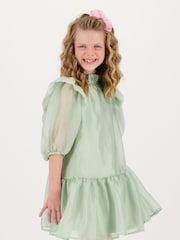Angels Face Green Lark Rose Trim Dress - Image 4 of 5