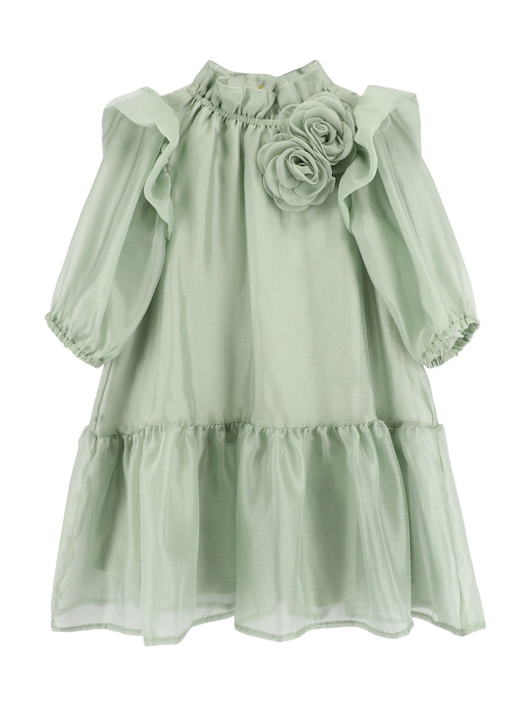 Angels Face Green Lark Rose Trim Dress - Image 5 of 5