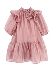 Angels Face Pink Lark Rose Trim Dress - Image 4 of 4
