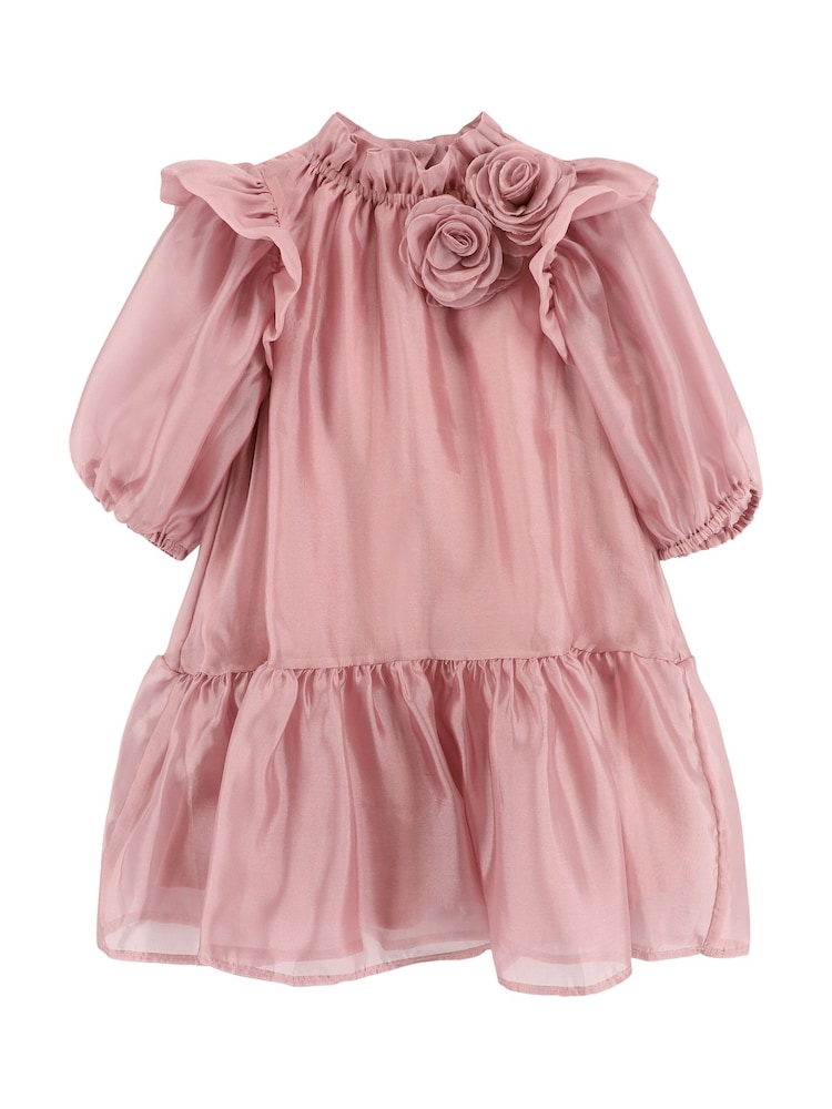 Angels Face Pink Lark Rose Trim Dress - Image 4 of 4