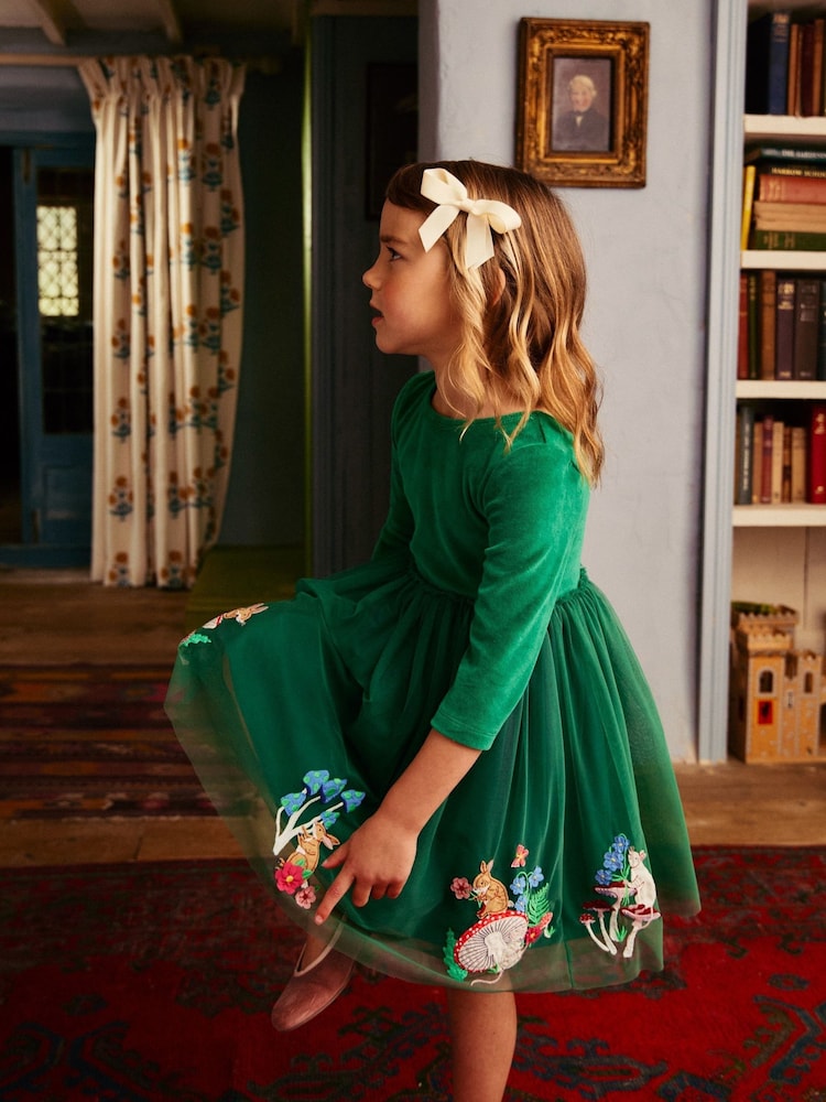 Boden Green Velvet Tulle Appliqué Dress - Image 1 of 2