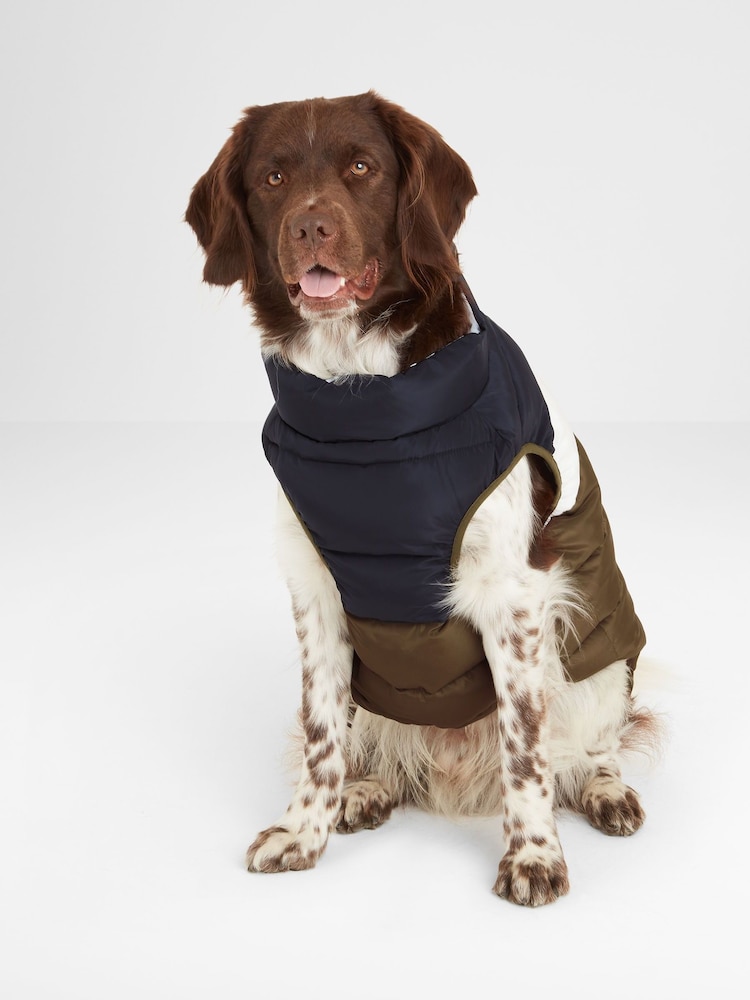 Tog 24 Green Fetch Dog Coat - Image 1 of 6