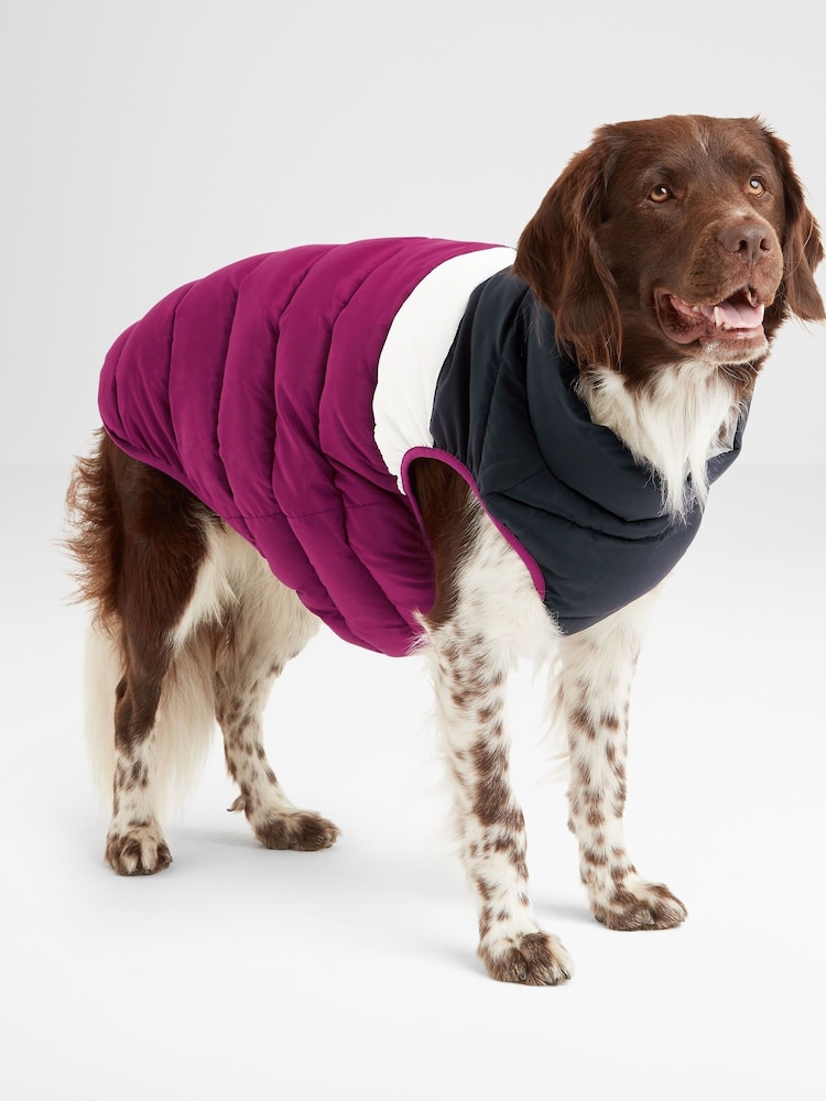 Tog 24 Fetch - Gepolsterter Mantel für Hunde - Bild 1 von 6 Tog 24 Fetch - Gepolsterter Mantel für Hunde - Bild 1 von 6