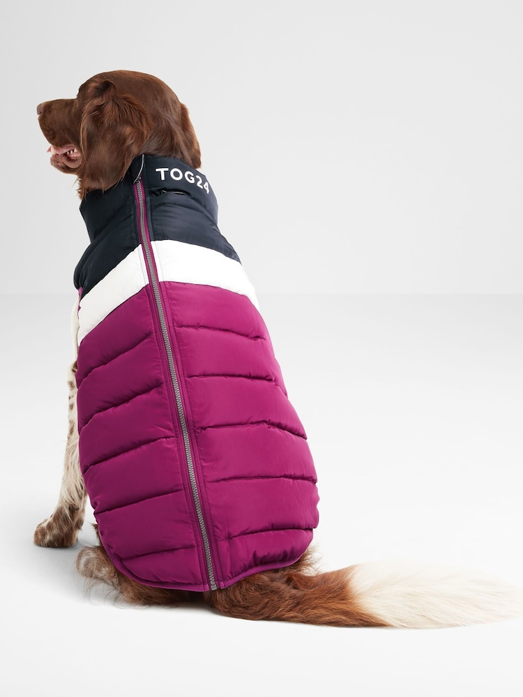 Tog 24 Fetch - Gepolsterter Mantel für Hunde - Bild 2 von 6 Tog 24 Fetch - Gepolsterter Mantel für Hunde - Bild 2 von 6
