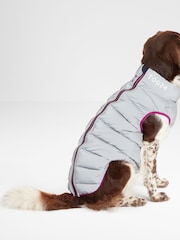 Tog 24 Fetch - Gepolsterter Mantel für Hunde - Bild 5 von 6