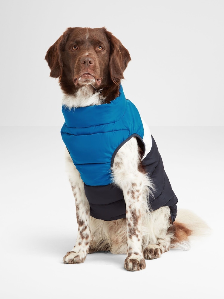 Tog 24 Blue Fetch Dog Padded Optic Coat - Image 1 of 5