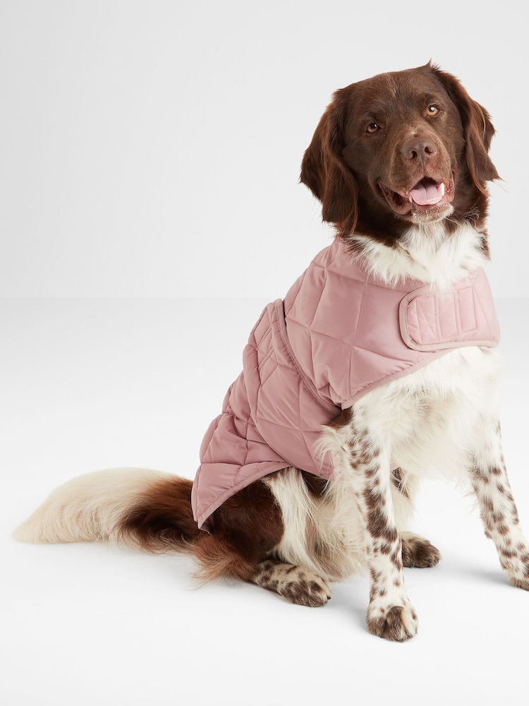 Tog 24 Fido Gefütterter Hundemantel in verblasster Optik - Bild 1 von 5 Tog 24 Fido Gefütterter Hundemantel in verblasster Optik - Bild 1 von 5