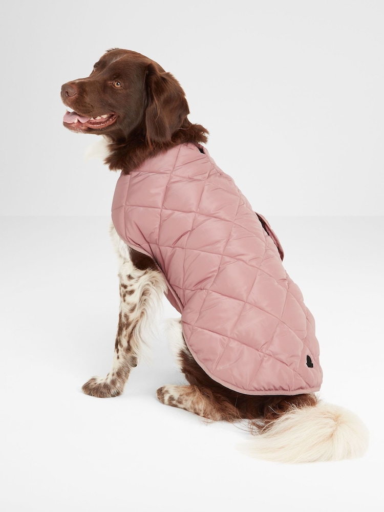 Tog 24 Fido Gefütterter Hundemantel in verblasster Optik - Bild 2 von 5 Tog 24 Fido Gefütterter Hundemantel in verblasster Optik - Bild 2 von 5